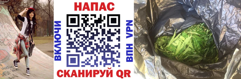 Каннабис план  mega tor  Исилькуль 
